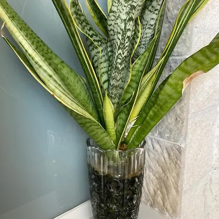 Apartamento La Terraza *